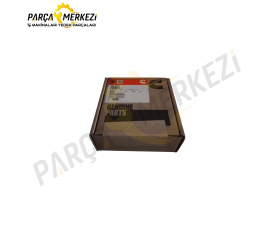 Cummins Sıçaklık Sensör
